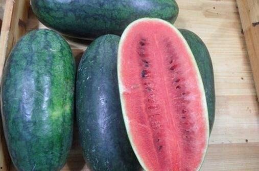 陇南市网红吃瓜事件,一场网络狂欢背后的真相与反思