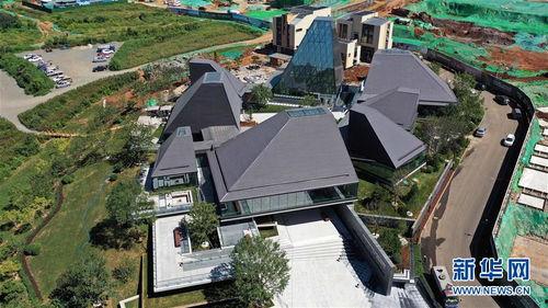 亚洲视频东方伊甸园,探寻亚洲视频的神秘魅力