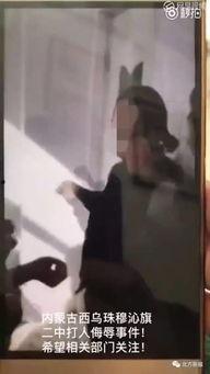 本土无码视频在线观看,在线观看的私密世界