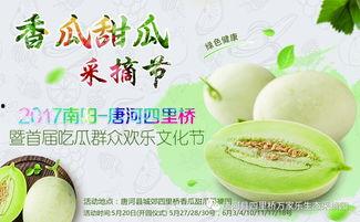 吃瓜网红大合集